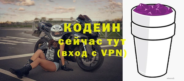 прущие грибы Лабытнанги