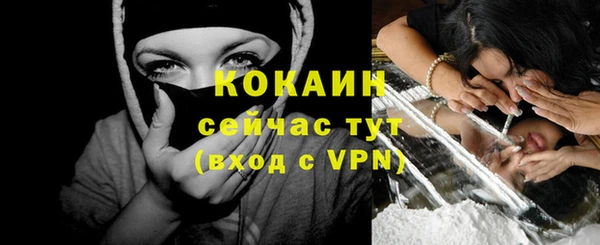 винт Лагань