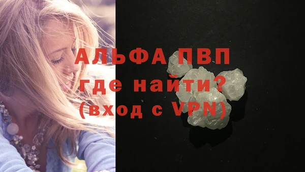 винт Лагань