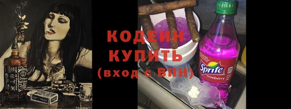 прущие грибы Лабытнанги