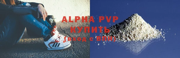 ГАЛЛЮЦИНОГЕННЫЕ ГРИБЫ Ладушкин