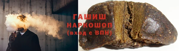 прущие грибы Лабытнанги