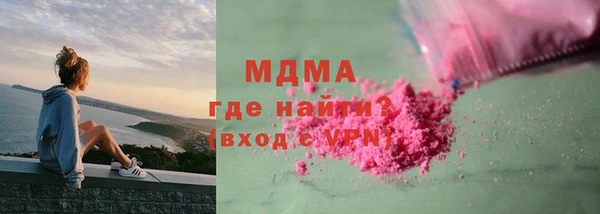 прущие грибы Лабытнанги