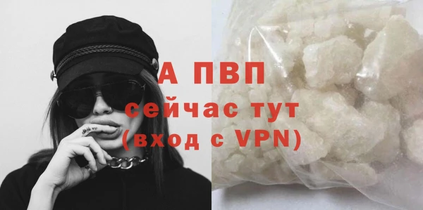 винт Лагань
