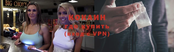 прущие грибы Лабытнанги