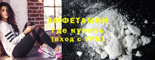 прущие грибы Лабытнанги