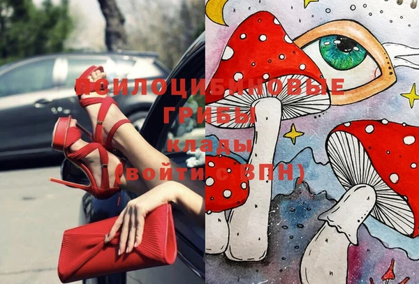 винт Лагань