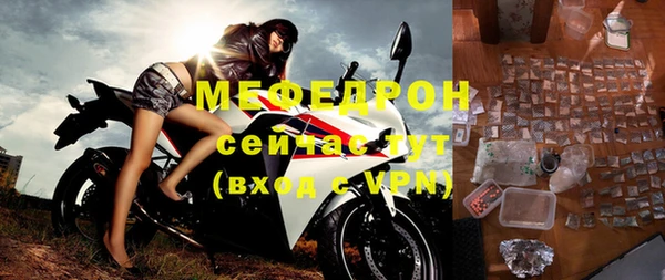 прущие грибы Лабытнанги