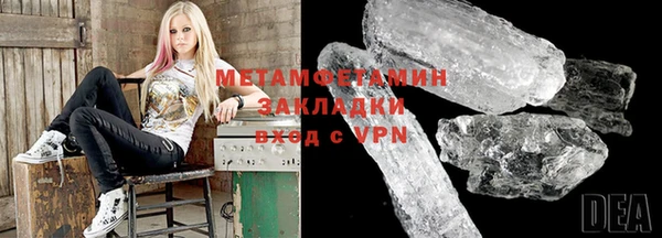 ГАЛЛЮЦИНОГЕННЫЕ ГРИБЫ Ладушкин