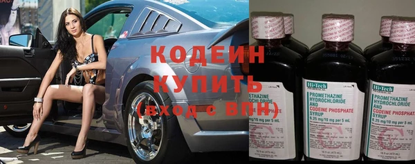 прущие грибы Лабытнанги