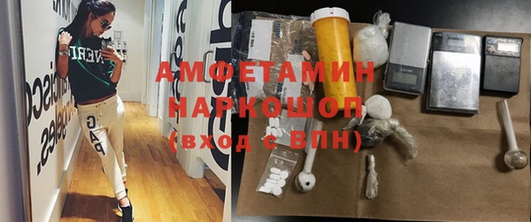прущие грибы Лабытнанги
