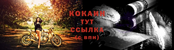 ГАЛЛЮЦИНОГЕННЫЕ ГРИБЫ Ладушкин